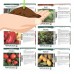 Heirloom Vegetable Garden Seed Collection &#8211; Assortment of 15 Non-GMO, Easy Grow, Gardening Seeds: Carrot, Onion, Tomato, Pea, More&#8230;   556554722